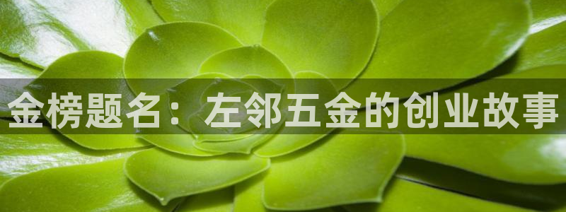 CQ9电子许cf66