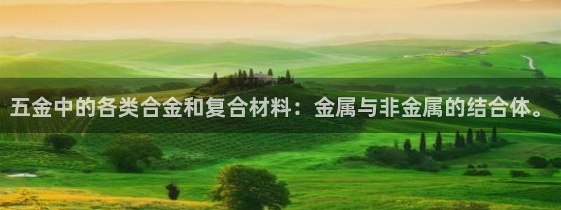 武圣电子cq9