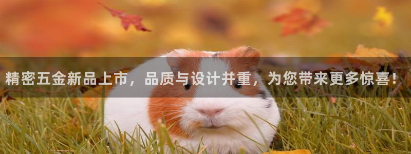 cq9电子怎么赢了