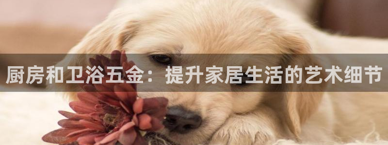 cq9传奇电子 水世界
