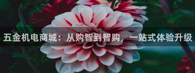 电子游戏cq9视频