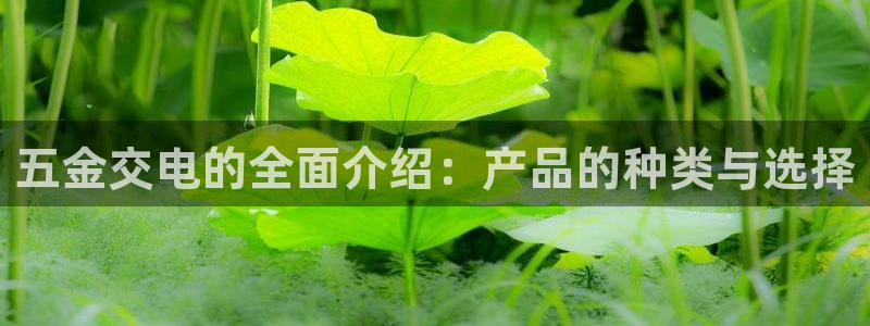 cq9电子智能