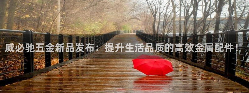 cq9电子游戏武媚娘