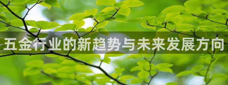 cq9电子野狼disco爆率