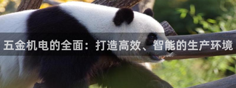 火凤凰cq9电子