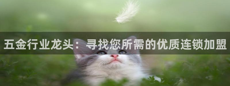 cq9传奇电子放水