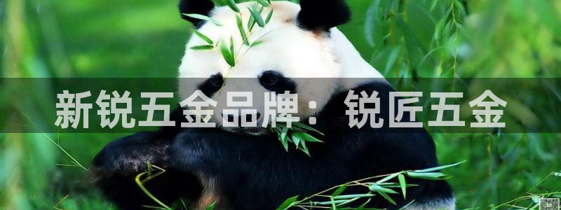 cq9电子大奖爆分