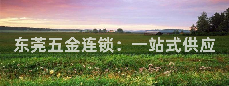 电子cq9金鲨