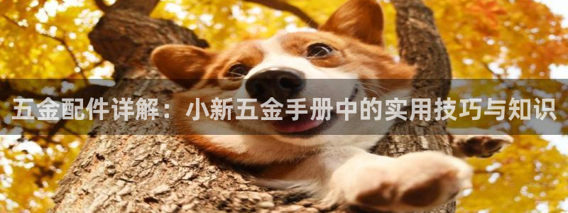 cq9电子宙斯怎么玩