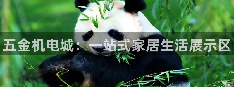 cq9传奇电子打法