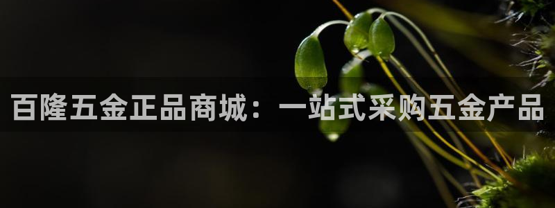 cq9电子游戏窍门