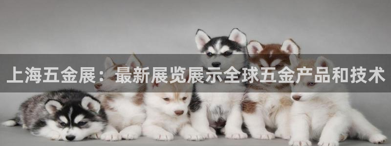 cq9电子爆分视频