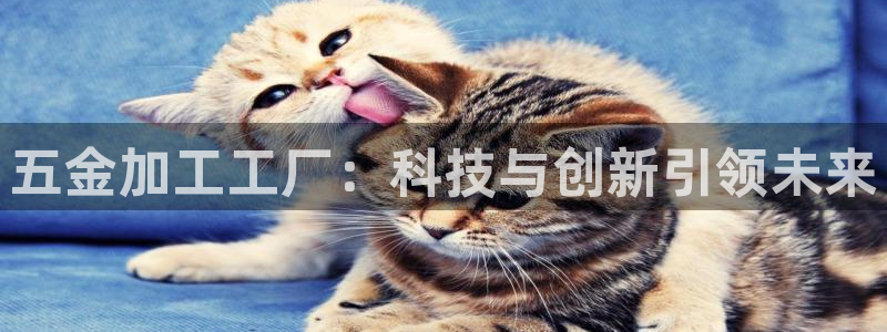 传奇电子cq9火凤凰