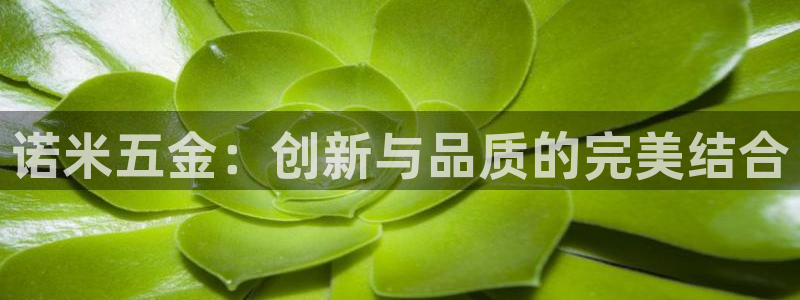 传奇电子女神cq9