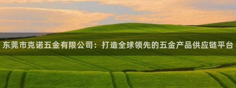 cq9电子游戏官方