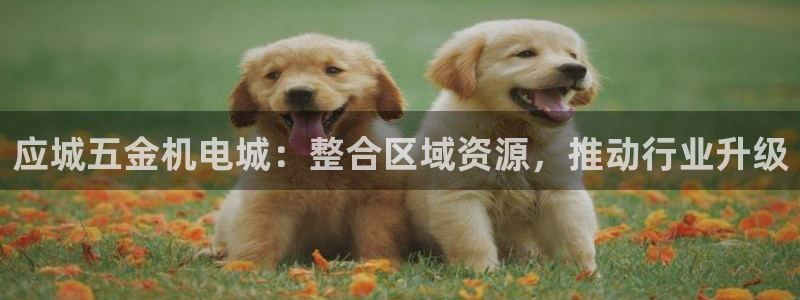 cq9电子双飞大奖