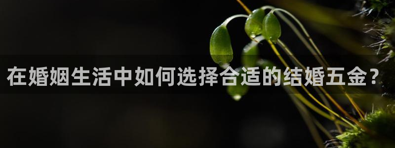 电子火之女王cq9