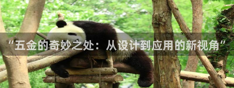 cq9传奇电子大奖视频