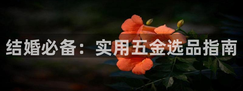 cq9电子临时维护多久