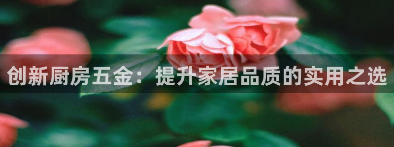 cq9电子雷神视频