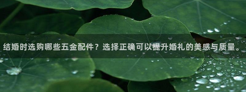 澳门CQ9电子娱乐
