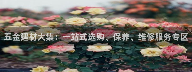 cq9电子游戏交流