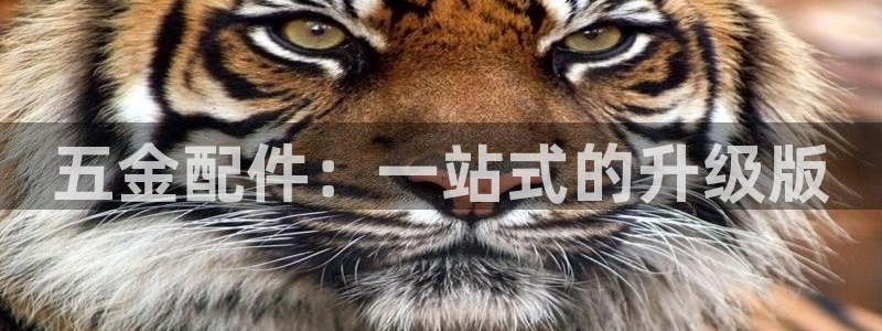 cq9传奇电子技巧