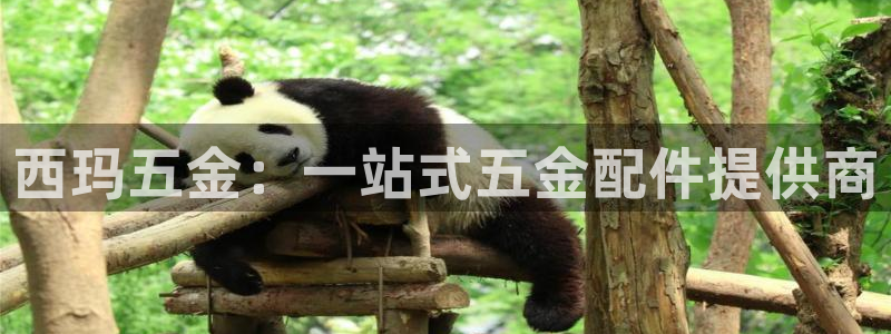 玩转cq9电子游艺