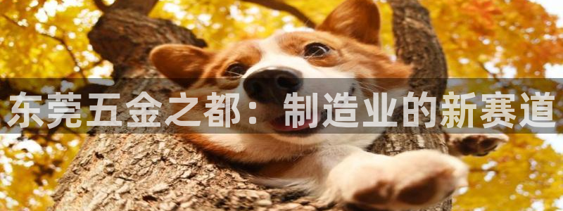 棋牌传奇电子cq9