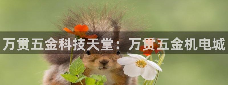 佳光cq9电子游艺