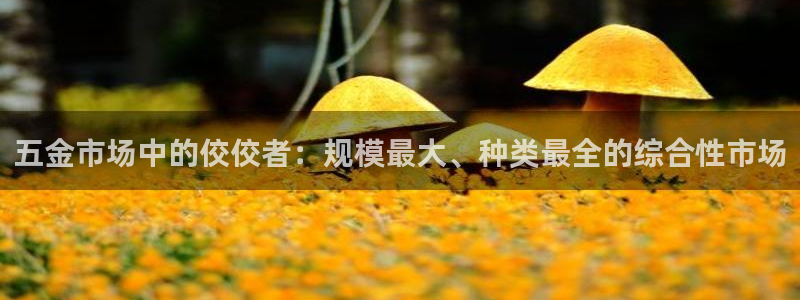 cq9传奇电子跳更高