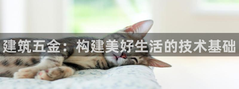 cq9传奇电子赢钱