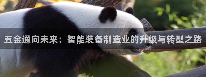 cq9电子游戏输掉