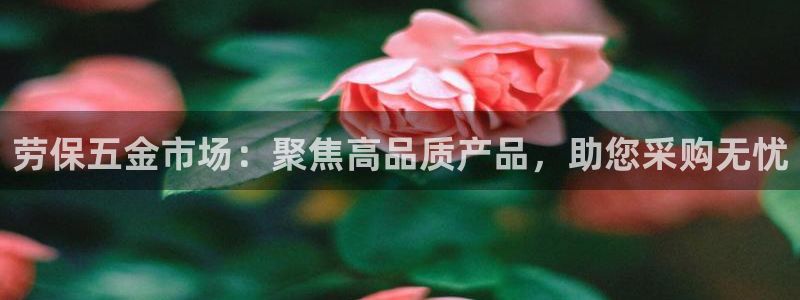 cq9电子后台揭秘