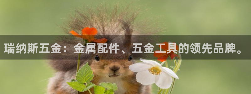 cq9电子这市集绝了